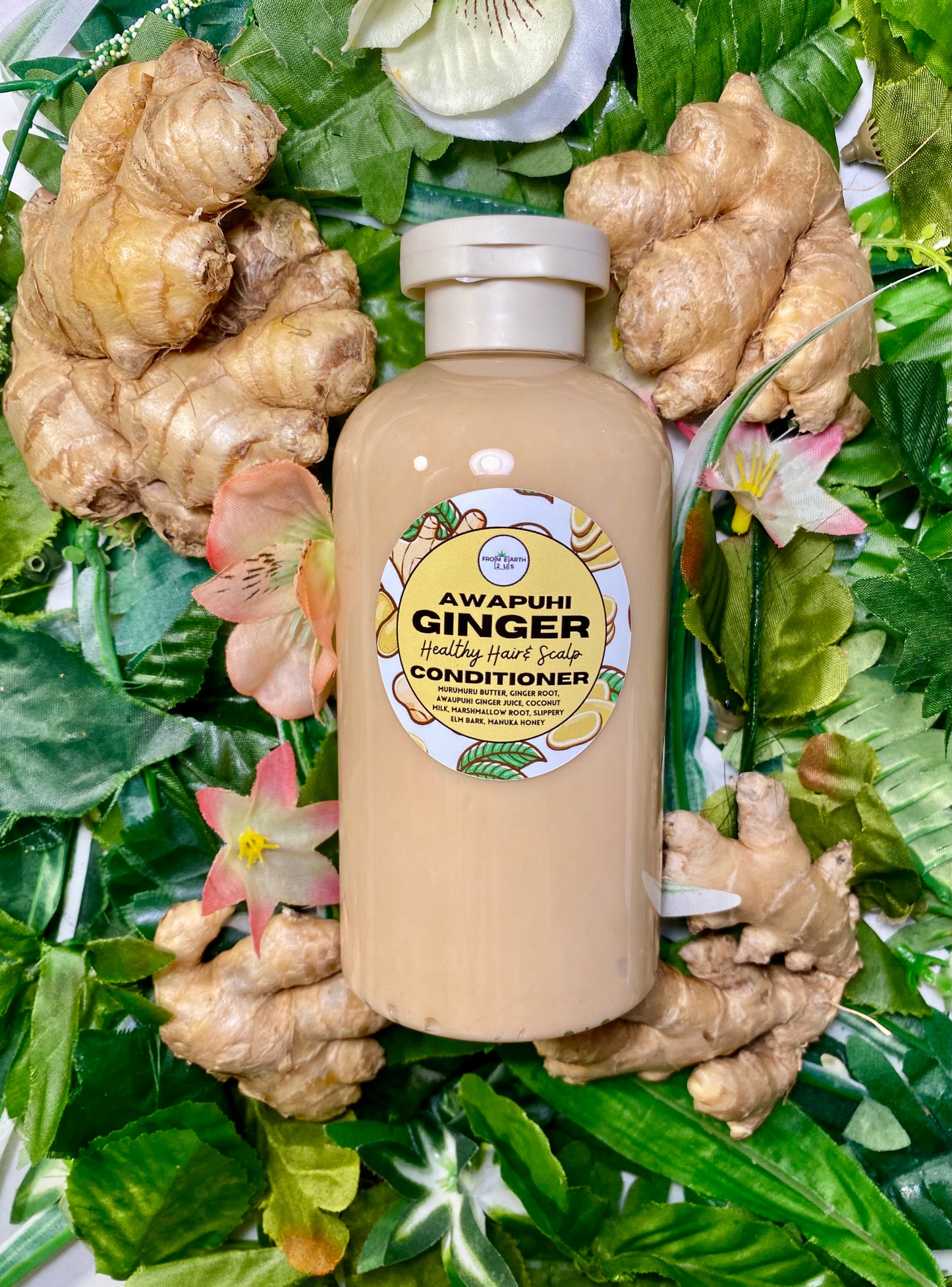 Awapuhi GINGER Natural Conditioner for Healthy Hair 14 ounces