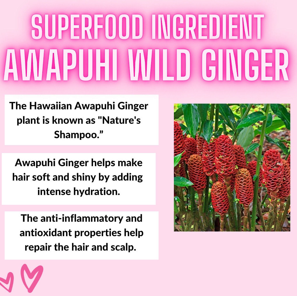 Awapuhi GINGER Natural Shampoo + Conditioner Set for Healthy Hair 14 ounces each