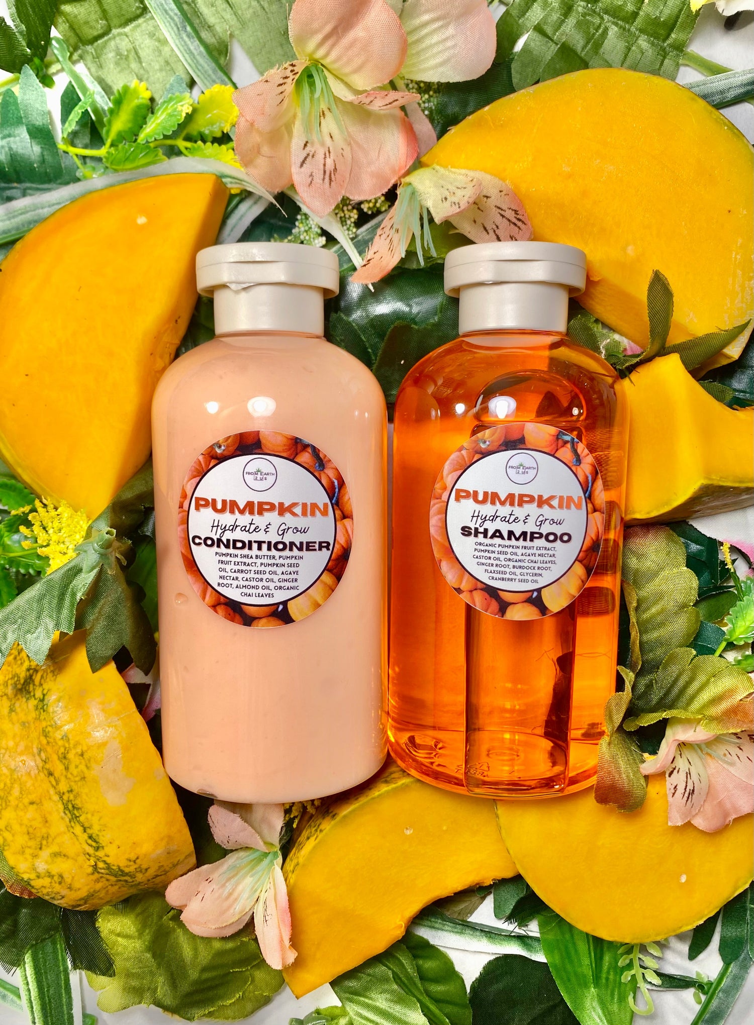 Fall Favorites