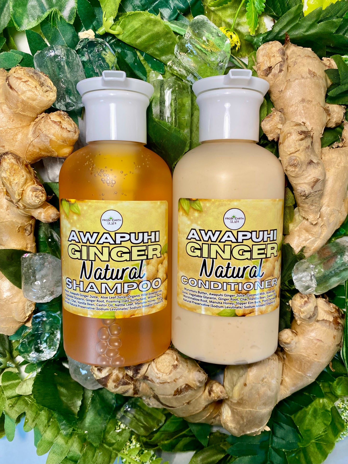 Awapuhi GINGER Natural Shampoo + Conditioner Set for Healthy Hair 14 ounces each