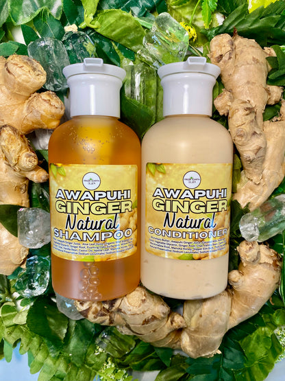 Awapuhi GINGER Natural Shampoo + Conditioner Set for Healthy Hair 14 ounces each