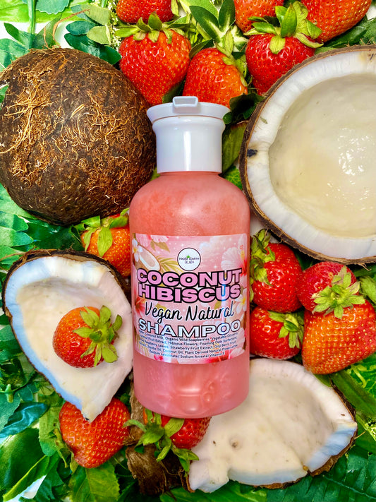 Coconut Hibiscus Natural Shampoo for Healthy hair 14 ounces