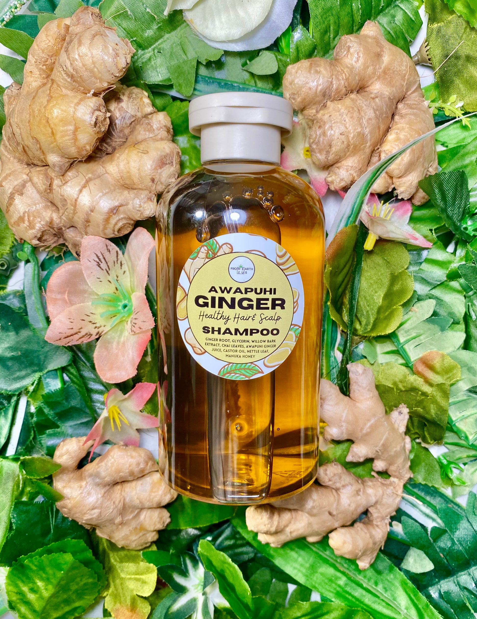 shampoo ginger plant seeds Awapuhi GINGER Natural Shampoo for Healthy Hair 14 ounces