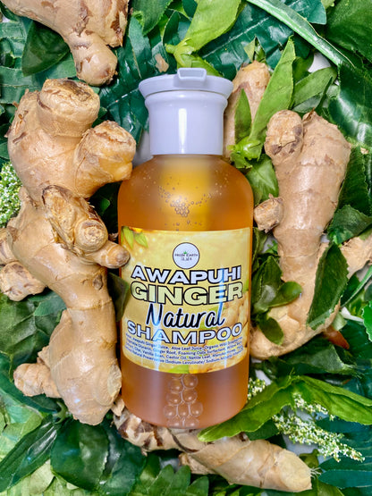 Awapuhi Ginger Natural Shampoo for Healthy Hair 14 ounces