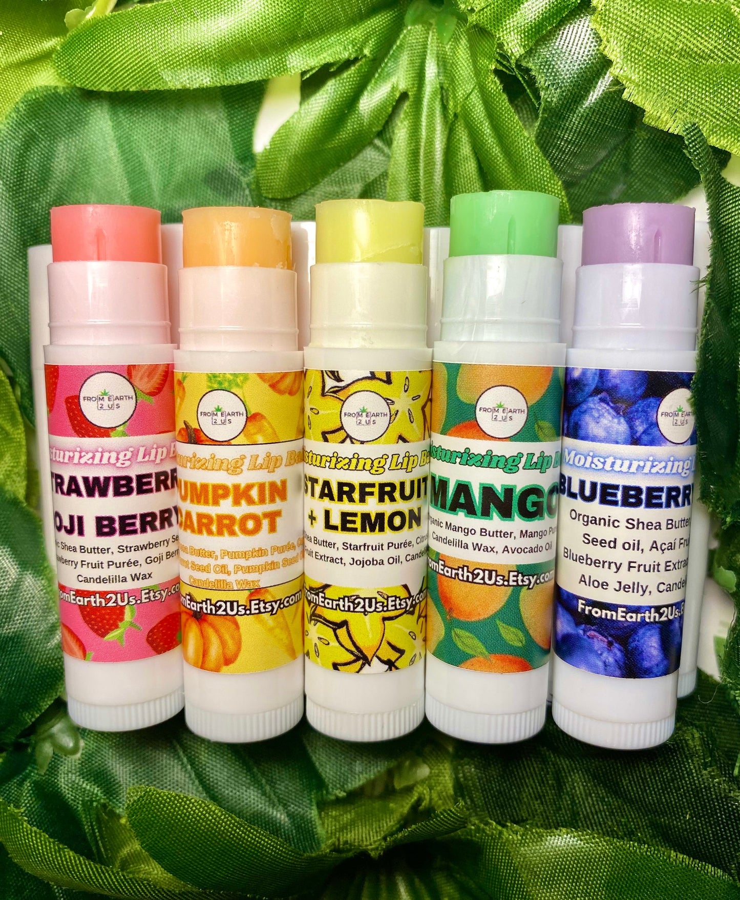 Moisturizing Lip Balm Variety Pack - 5 lipbalms total