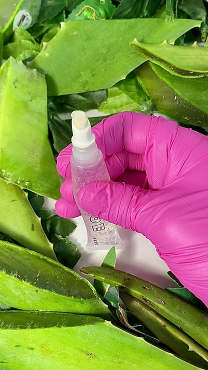 Aloe Vera Hydrating Lip Jelly